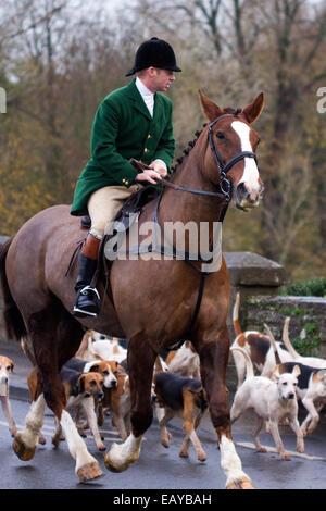 Nr Hornby Lancaster, Royaume-Uni. 22 novembre, 2014. Membres de Lunesdale Foxhounds ici traversé le pont sur la rivière Lune dans le centre du village. En octobre 2014, deux autres membres de la chasse Paul Whitehead, le chasseur de l'Lunesdale Foxhounds Ltd et le directeur de la compagnie de recherche de Terrence Potte tant a plaidé non coupable à des "infractions à la Loi sur la chasse lorsqu'ils ont comparu à Skipton Cour des magistrats le 19 septembre 2014. Banque D'Images