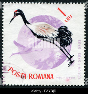 Roumanie - VERS 1965 : un timbre imprimé en Roumanie montrant des oiseaux vers 1965 Banque D'Images