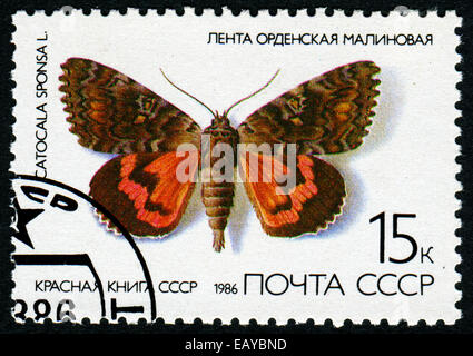 Urss - VERS 1986 : timbre imprimé dans l'URSS - un papillon avec l'inscription 'Catocala sponsa', à partir de la série "Red Book" Banque D'Images