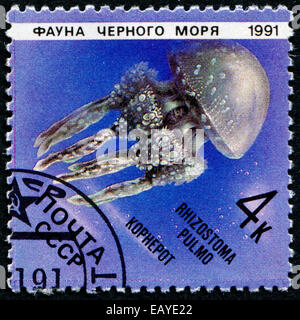 Urss - circa 1991 : timbre imprimé en URSS montre une image de Rhizostoma pulmo, vers 1991. Connu comme le poumon de la mer, il est t Banque D'Images