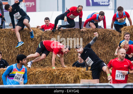 Wembley, Londres. 22 Nov 2014. Des milliers de concurrents dans les équipes s'affrontent dans le Men's Health La survie l'histoire de cas, la collecte de fonds pour divers organismes de bienfaisance. Les organisateurs de l'événement course de rat a créé le parcours, avec divers obstacles à partir de bassins de boue d'échafaudages à poules, avec à la fois graves et des moins graves les athlètes en compétition pour la gloire. En Photo : les concurrents font leur chemin sur une pile de bottes de foin, le premier des nombreux obstacles difficiles sur le 10km course. Crédit : Paul Davey/Alamy Live News Banque D'Images