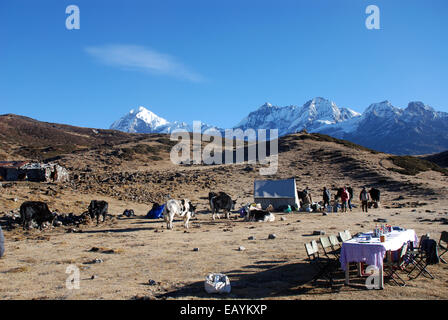 Un camping sur le Singalila ridge dans l'Himalaya indien avec les sommets des hautes montagnes en arrière-plan Banque D'Images