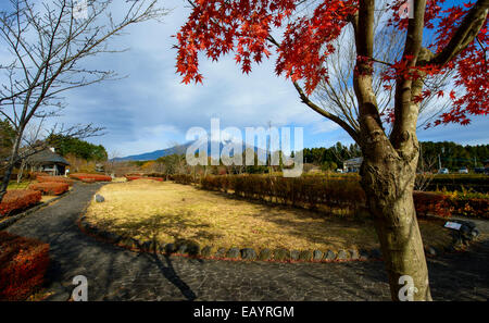 Le jardin japonais et le Mont Fuji, Japon Banque D'Images
