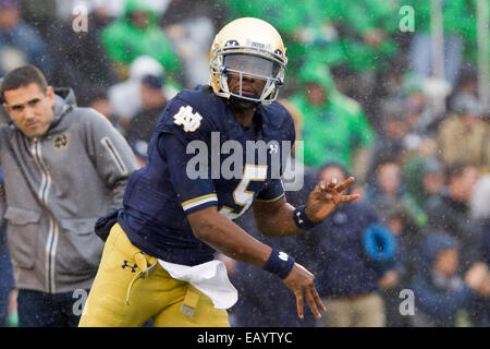 South Bend, Indiana, USA. 22 Nov, 2014. Notre Dame QB EVERETT GOLSON (5) se réchauffe avant le match entre les Cardinals de Louisville et Notre Dame Fighting Irish de Notre Dame Stadium à South Bend, Indiana. © Frank Jansky/ZUMA/Alamy Fil Live News Banque D'Images