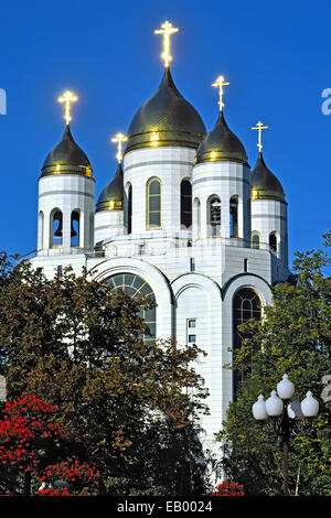 Les dômes de la Cathédrale du Christ Sauveur. Kaliningrad (ex-Koenigsberg), Russie Banque D'Images