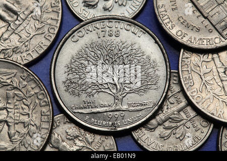 Coins des Etats-Unis. Charter Oak représenté sur les États-Unis Connecticut trimestre (1999). Banque D'Images