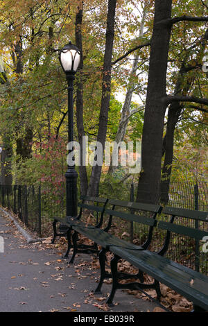Un banc vert dans Central Park, New York City. Banque D'Images