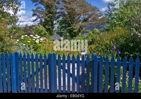 Abri luxuriant jardin avec arbustes et plantes en fleurs en frontières soleil d'été, Plockton, Wester Ross, les Highlands écossais Banque D'Images