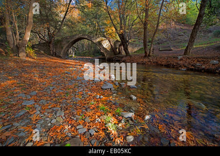 L'Kelefos Pont vénitien aux couleurs de l'automne dans les montagnes Troodos de Chypre Banque D'Images