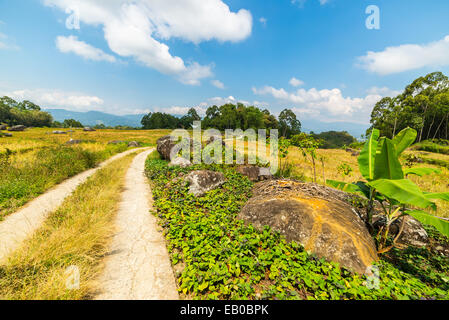Route de campagne sinueuse menant à travers les champs de riz multicolores de Batutumonga dans le magnifique paysage sur les montagnes o Banque D'Images