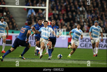 Paris, France. 23 novembre, 2014. Stade de France à Paris. Série d'automne International rugby série. La France contre l'Argentine. Nicolas Sanchez (Arg) : Action de Crédit Plus Sport Images/Alamy Live News Banque D'Images