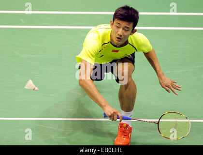 Hong Kong, Chine. 23 Nov, 2014. Chen long de la Chine renvoie la navette lors de son dernier match du tournoi contre fils Wan Ho de Corée du Sud à la Yonex-Sunrise Ouvrir dans Hong Kong Hong Kong, Chine du sud, le 23 novembre 2014. Chen a perdu 0-2. © Lo Fai Ping/Xinhua/Alamy Live News Banque D'Images