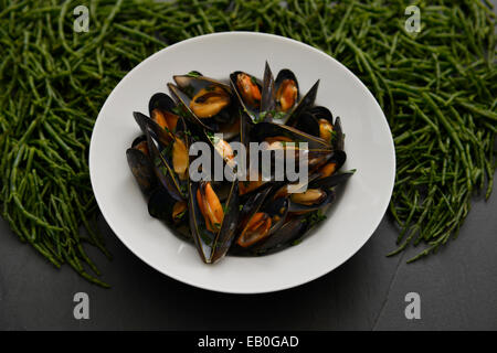 Les moules au vin blanc et crème, servi dans un bol blanc avec un fond ardoise samphire sur Banque D'Images