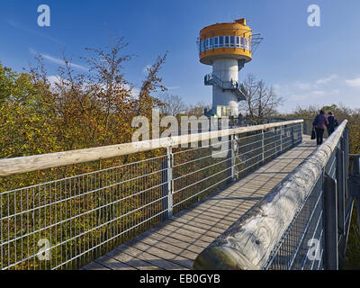 Treetop walkway dans Parc national du Hainich, Allemagne Banque D'Images