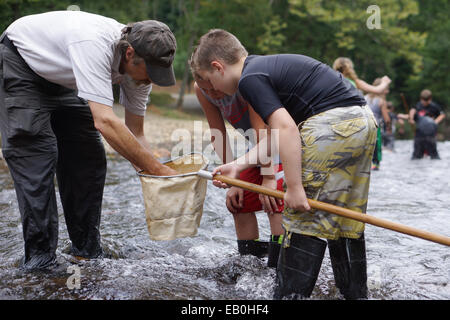 Vérifier les filets pour les étudiants de la vie marine dans l'ouest de la Caroline du Nord d'eau au cours de la vallée de la rivière d'orteil orteils dans la TOE, 11 septembre 2014 Festival près de Asheville, NC. La fondation à but non lucratif apporte la 5e année les élèves sur une aventure pour en savoir plus sur la conservation et l'écologie de la rivière. Banque D'Images