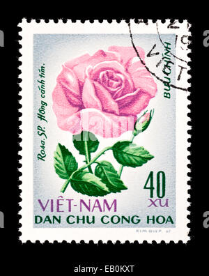 Timbre-poste du Vietnam représentant une rose rose. Banque D'Images