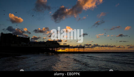 Un milieu urbain d'étourneaux murmuration formes formes sur la jetée et ville d'Aberystwyth, sur la côte ouest de galles. Banque D'Images