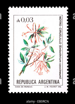 Timbre-poste représentant de l'Argentine (firetree chilienne Embothrium coccineum découverte) Banque D'Images