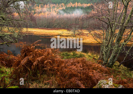 River Cannich, Muchrachd, Inverness Shire, Ecosse Banque D'Images