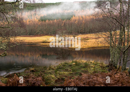 River Cannich, Muchrachd, Inverness Shire, Ecosse Banque D'Images