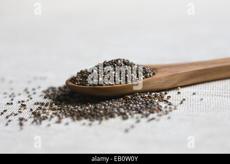 Salvia hispanica de semences. Les graines de Chia sur une cuillère en bois. Banque D'Images