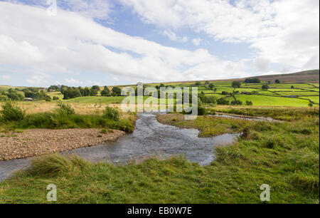 Les bancs de graviers et des méandres de la rivière Swale, Swaledale dans le Yorkshire Dales Banque D'Images