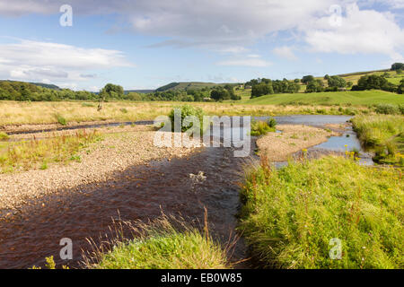 Les bancs de graviers et des méandres de la rivière Swale, Swaledale dans le Yorkshire Dales Banque D'Images