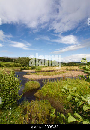 Les bancs de graviers et des méandres de la rivière Swale, Swaledale dans le Yorkshire Dales Banque D'Images