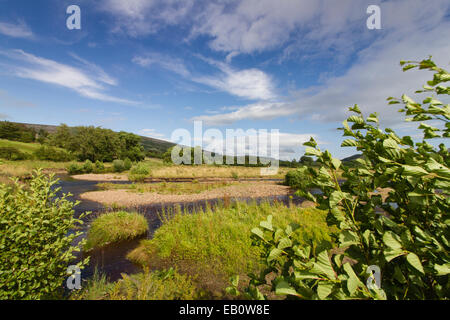 Les bancs de graviers et des méandres de la rivière Swale, Swaledale dans le Yorkshire Dales Banque D'Images