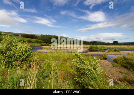 Les bancs de graviers et des méandres de la rivière Swale, Swaledale dans le Yorkshire Dales Banque D'Images