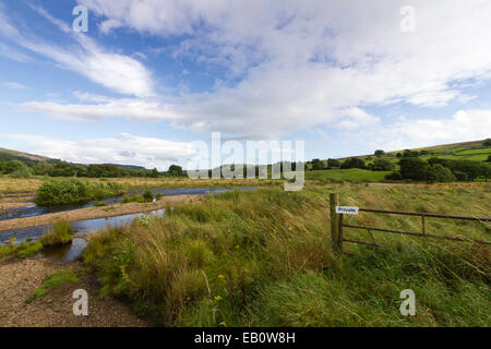 Les bancs de graviers et des méandres de la rivière Swale, Swaledale dans le Yorkshire Dales Banque D'Images