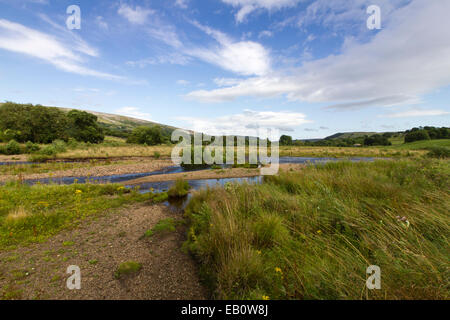 Les bancs de graviers et des méandres de la rivière Swale, Swaledale dans le Yorkshire Dales Banque D'Images