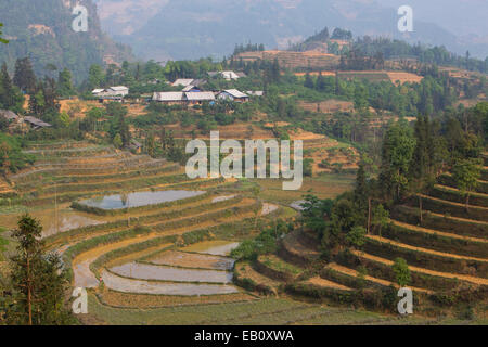 Bac Ha des terrasses de riz au Vietnam Banque D'Images