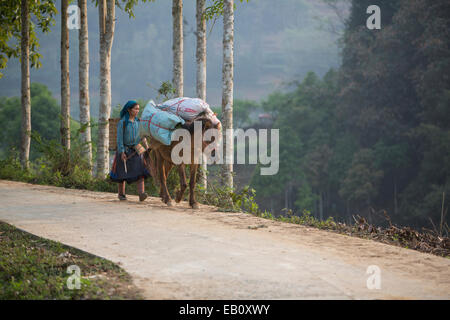 Woman walking horse transportant des aliments pour poulet au Vietnam Banque D'Images