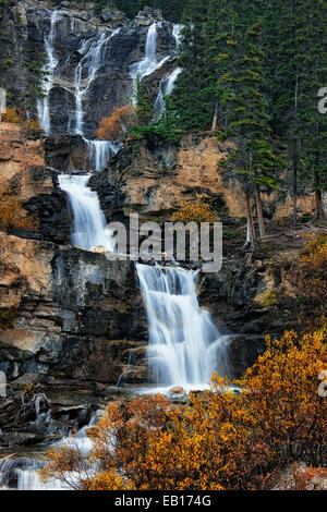 Tangle Creek Falls verse 114 pieds au-dessus du calcaire à niveaux multiples étapes de l'Alberta's Rocheuses canadiennes et le parc national Jasper. Banque D'Images