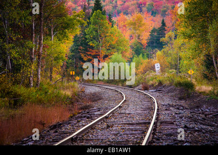 La couleur en automne le long d'une voie ferrée dans la région de White Mountain National Forest, New Hampshire. Banque D'Images