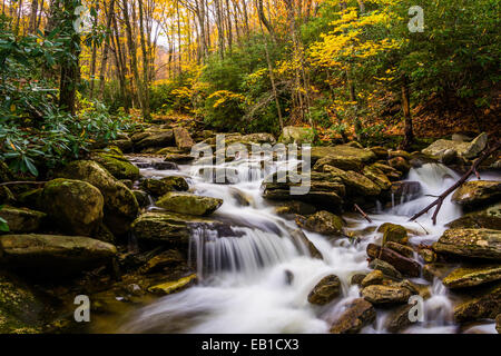 La couleur en automne et cascades le Boone Fork le long de la Blue Ridge Parkway, Caroline du Nord. Banque D'Images