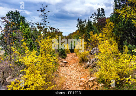 Voir l'automne de la Croix (Krizevac) Mountain à Medjugorje en Bosnie Erzegovina ed : arbres brunâtre, mauvaises herbes vertes, orange et jaune des feuilles et rochers gris Banque D'Images
