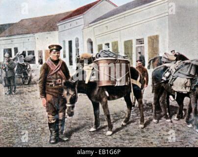 La propagande allemande colorisée contemporain photo montre un groupe d'animal pack Armée bulgare, ca. 1915. Photo : Archives Neumann - PAS DE SERVICE DE FIL Banque D'Images