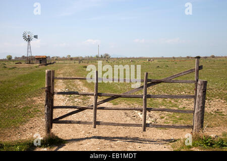 Gate, parc de l'Uccellina, alberese, province de Grosseto maremme, Toscane, Italie, Europe Banque D'Images