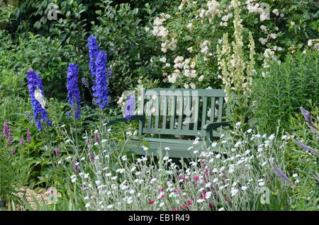 Delphinium Delphinium elatum (couronne) et rose (Lychnis coronaria 'Alba' syn. Silene coronaria 'Alba') en face d'un banc de jardin. design : Marianne et Banque D'Images