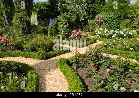 Des haies de buis dans un jardin de roses. design : Marianne et detlef lüdke Banque D'Images