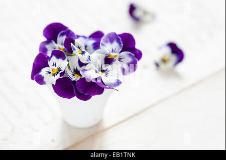 Petit bouquet de pensées dans vase blanc sur lettre baignée de soleil Banque D'Images