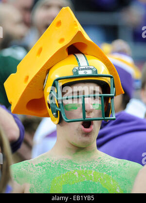 Minneapolis, MN, USA. 23 Nov, 2014. Packers de Green Bay au cours de la première moitié du ventilateur à TCF Bank Stadium à Minneapolis, MN.Craig Lassig/CSM/Alamy Live News Banque D'Images