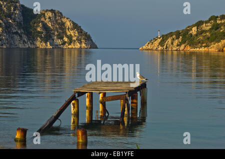 Seagull sur un vieux rusty dock à matin ensoleillé, Porto Koufo Banque D'Images