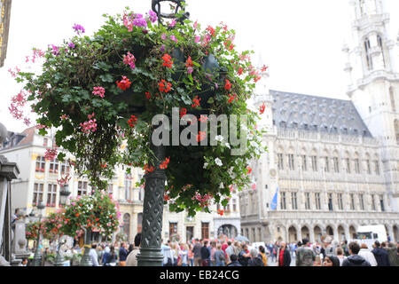 Flower stall Bruxelles Hôtel de Ville Grand Place Grand Place Belgique Banque D'Images