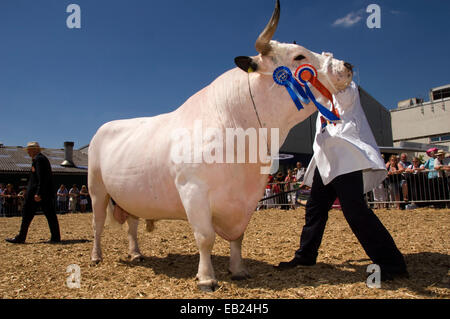 Royal Bath & West Show Banque D'Images