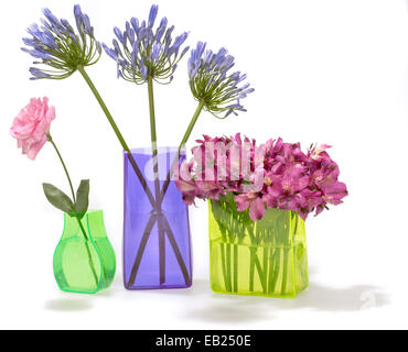 fleurs dans des vases au néon lumineux photographiés sur un fond blanc Banque D'Images