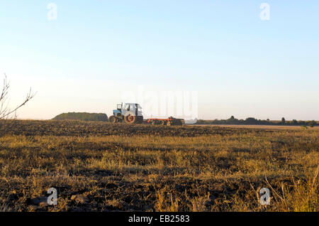 Le tracteur de cultiver les chaumes de blé par des résidus de récolte sur le terrain, Ludogorie, Bulgarie Banque D'Images