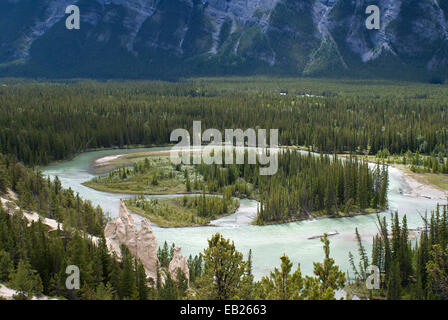 Fleuve d'eau de glacier serpente à travers la forêt contre les Montagnes Rocheuses, près de Banff au Canada. Banque D'Images